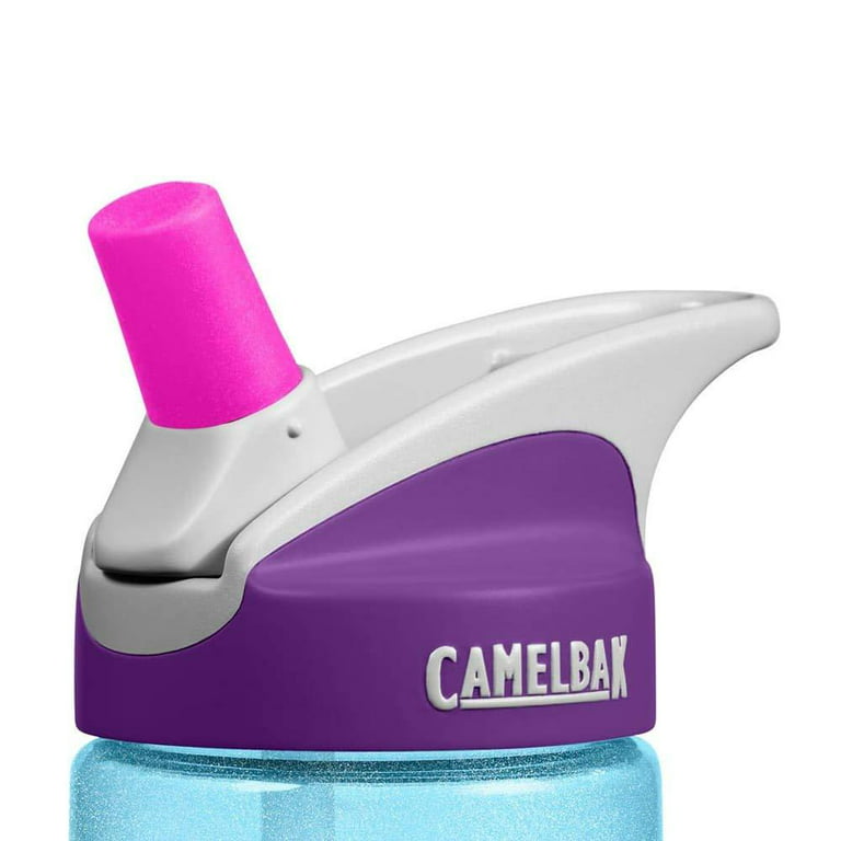 CamelBak Kids Insulated Eddy Bottle .4L - Purple Swans