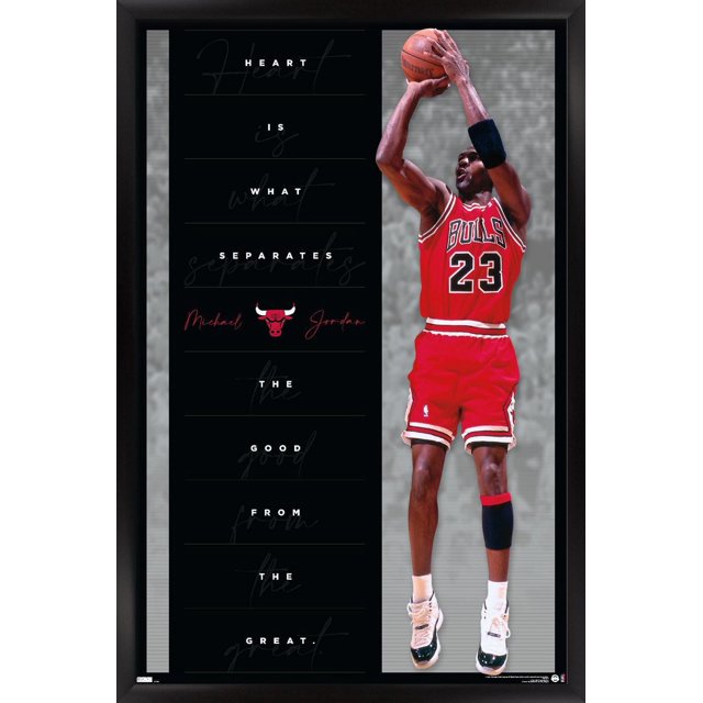 Michael Jordan - Coeur