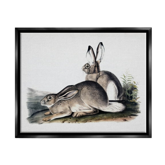 Rabbit Duo Gazing Animals Animals & Insects Painting Jet Black Framed Art Print Wall Art