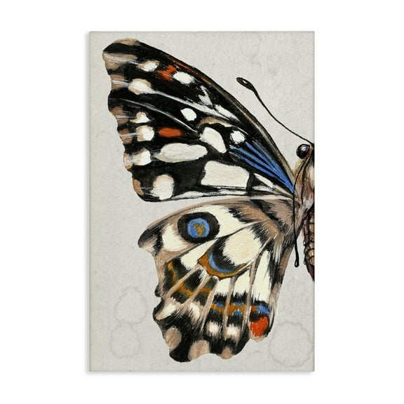 Stupell Industries Spotted Butterfly Wing Animals & Insects Painting Gallery Wrapped Canvas Art Print Wall Art, 16 x 24
