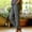Gray, variant on PWPSG Women's High Waist Wide Waistband Jogger Style Pants, Breathable Comfort Trousers for Workout Activities & Fitness Wear Green S