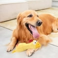 thumbnail image 5 of Durable Latex Pet Toy for Dogs Interactive Squeaky Chew Plaything Chicken Design for Small Large Animals, 5 of 7