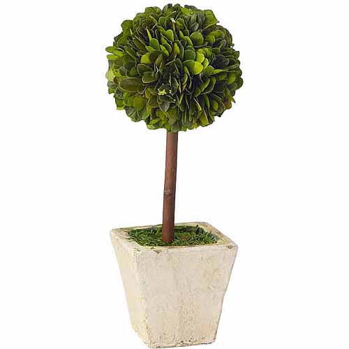 Small Boxwood Topiary