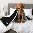 thumbnail image 6 of PetAmi Waterproof Dog Blanket for Medium Large Dog Puppy Cat Throw for Couch Cover Leakproof Protection, Sherpa Fleece, Reversible Soft Washable 60x40 Black, 6 of 9