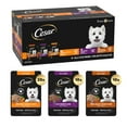 Cesar Filets in Gravy AIF4 Wet Dog Food Filet Mignon Flavor, Rotisserie