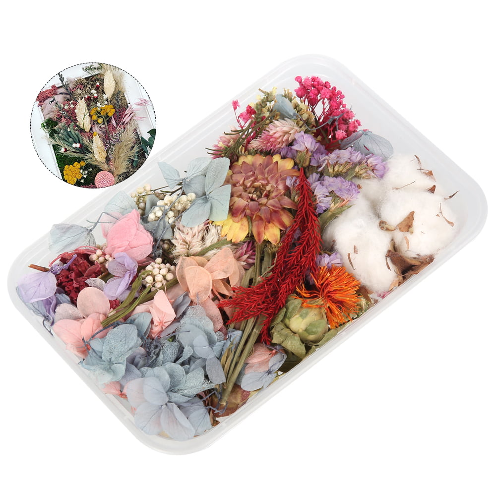 Dried Flowers for Resin Real Pressed Dry Flower Leaves Mixed for DIY Crafts 
