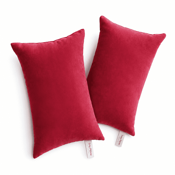 Florenta 2 Pack Small Pillow,Mini Pillow for Travel,Sleeping,Nap and Neck,Knee,Lumbar Support,Tiny Cushion for Pet,Dogs,(Multicolor),11x7"