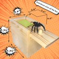 thumbnail image 2 of Broma de Halloween con forma de araña grande de Prank Box Jishi para adultos, 2 of 7