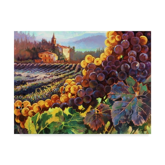 Trademark Fine Art 'Tuscany Harvest' Canvas Art by Clif Hadfield