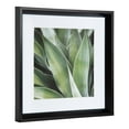 thumbnail image 3 of Kate and Laurel Calter Green Succulent Leaves Matted Framed Print Under Glass Art Set by Amy Peterson, 15.5x15.5-inches/each, Black, 3 of 6