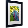 thumbnail image 2 of Trademark Fine Art "Rainbow Eucalyptus Tree" Canvas Art by CATeyes, White Matte, Black Frame, 2 of 4