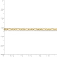 thumbnail image 5 of 10K Yellow Gold Figaro chain 18 in 2.5 mm 2.5mm Semi-Solid, 5 of 5
