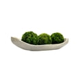 thumbnail image 3 of Bergamo Art Preserved Cockscomb Topiary Balls Bowl Vase  Filler Decorative Orb, 3 of 4