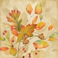 thumbnail image 3 of Coulter, Cynthia 15x15 Black Modern Framed Museum Art Print Titled - Harvest Leaves II, 3 of 5