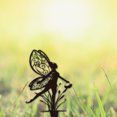 thumbnail image 4 of Dancing Fairy Metal Garden Decorative Stake Classic Creative Insert Yard Garden Ornament Halloween Party Outdoor Gift Lawn, 4 of 6