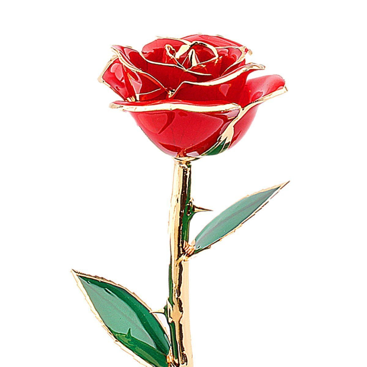 Single Red Rose Flower Love Flowers Healthy