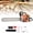 20Inch 58cc 2KW, variant on Floseru 58cc Gas Chainsaw 20 Inch 2-Cycle Petrol Chainsaw Handheld Cordless Chain saw for Wood Cutting Forest Farm Garden Use