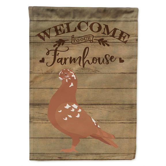 Carolines Treasures CK6897GF African Owl Pigeon Welcome Garden Size outdoor-flags, Multicolor