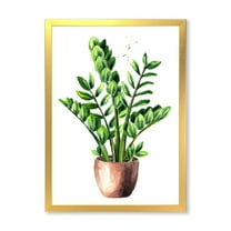 Designart 'Zamioculcas Tropical Plant With Green Leaves On White' Traditional Framed Art Print