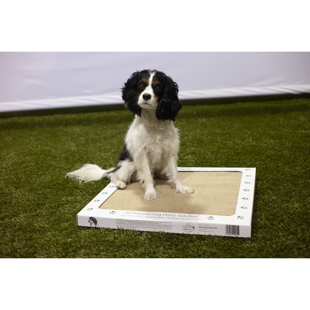 Sparky on the Spot - All Natural Dog Potty Solution - Walmart.ca