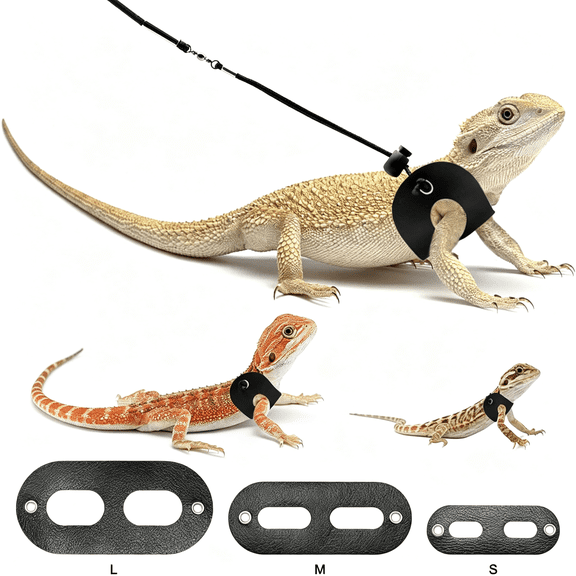 GASTROPOD Bearded Dragon Harness and Leash Adjustable Leather Lizard Reptiles Harness Leash for Amphibians and Other Small Pet Animals Bearded Dragon Leash(S,M,L,3 Pack)