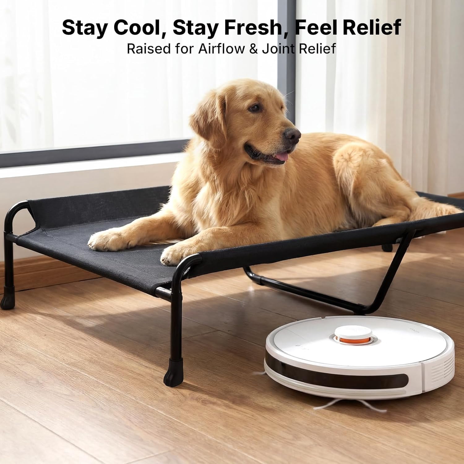 XXL Raised Dog Bed with Headrest Sides Washable Cooling Mesh Cot Non-Skid Feet Portable Pet Hammock Black 53.0"L x 33.0"W x 11.0"Th