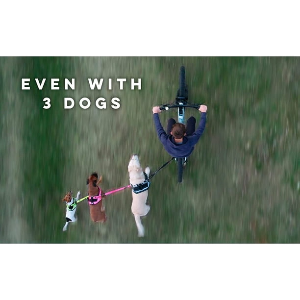 Dog bike leash walmart sales