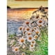 thumbnail image 1 of Taladro Diamante Pintura (DE0566) 5D DIY Paisaje cuadrado completo Kits de punto de cruz (C047) 30x40cm FLhrweasw Nuevo, 1 of 2
