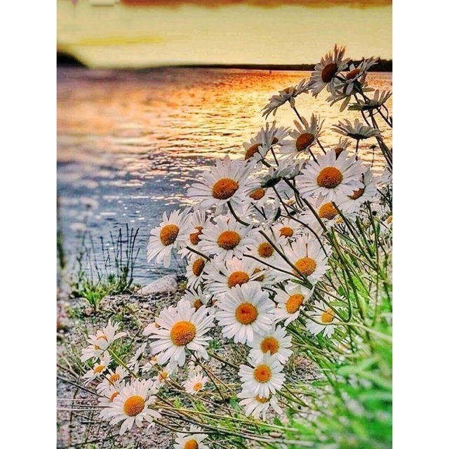 Taladro Diamante Pintura (DE0566) 5D DIY Paisaje cuadrado completo Kits de punto de cruz (C047) 30x40cm FLhrweasw Nuevo