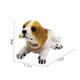 thumbnail image 3 of Muñecas De Perro De Coche Bobble Head Dog Toys - Clever Cute Dancing Dogs para la decoración del adorno del salpicadero del coche, 3 of 5