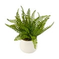 thumbnail image 4 of Anko Artificial Fern in Pot, 4 of 6