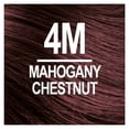 thumbnail image 2 of Naturtint 4M Mahogany Chestnut Permanent Hair Color, 2 Pack (Packaging May Vary), 2 of 7