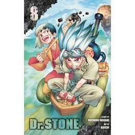 Dr. STONE: Dr. STONE, Vol. 15 (Series #15) (Paperback