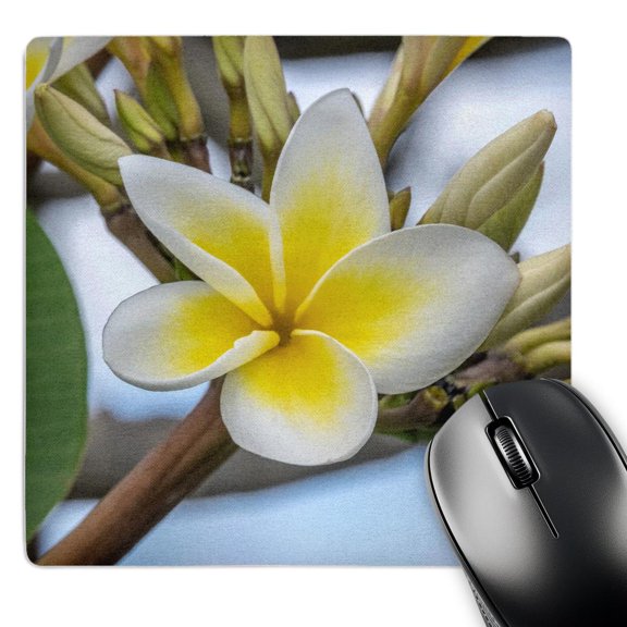 3dRose, Plumeria., MousePad