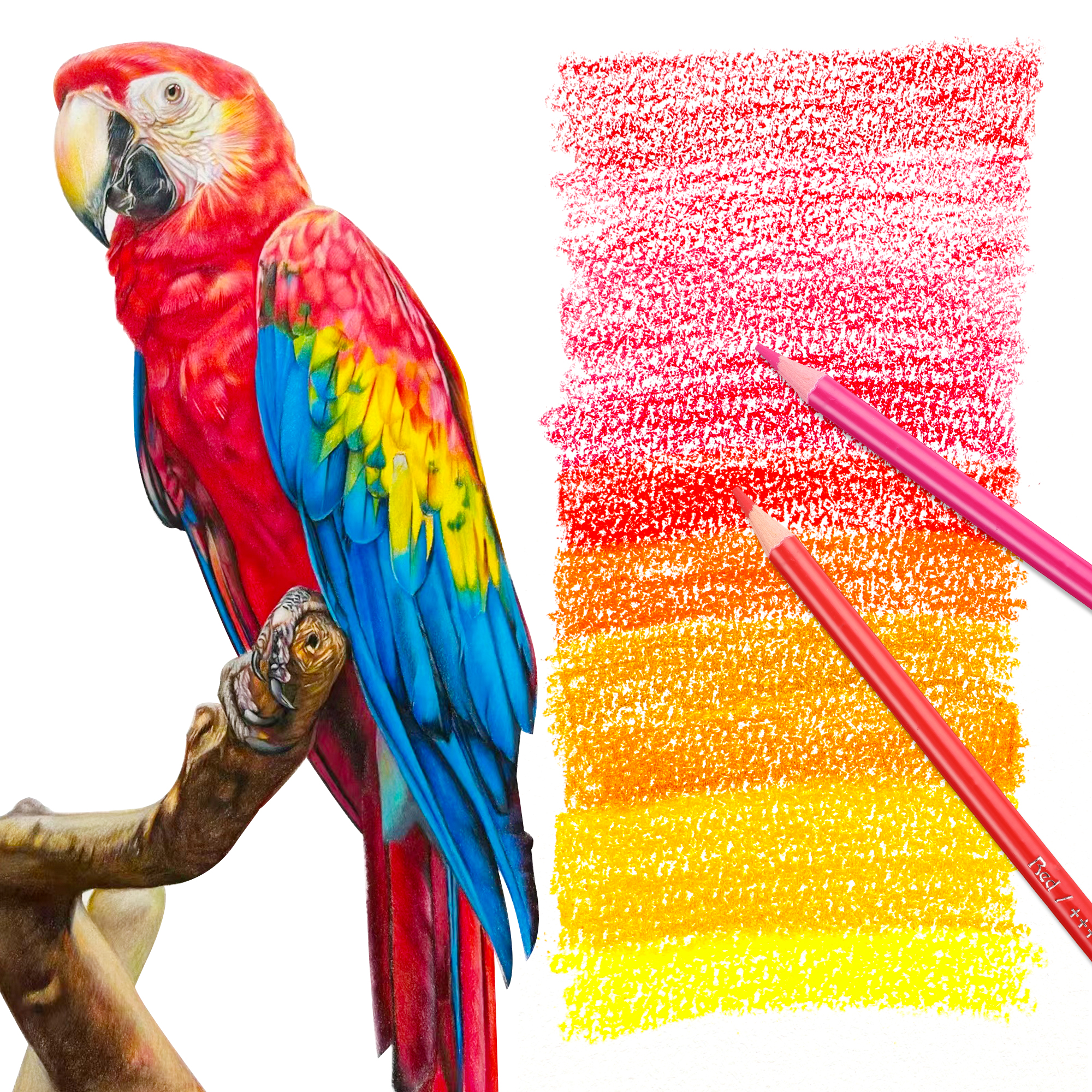 Hiforny 80-Piece Colored Pencil Set for Adults photo 4