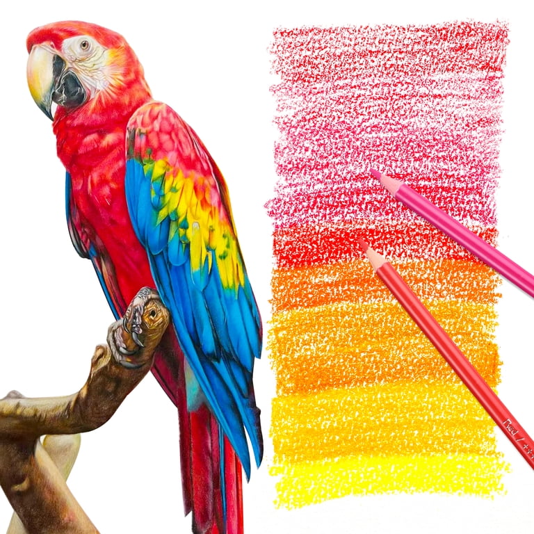 125 Pack Colored Pencils Set for Adult Coloring,120 Colors