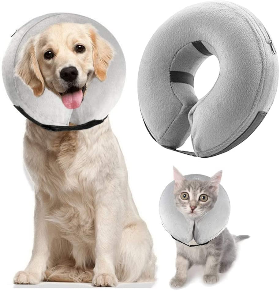 collar to prevent licking