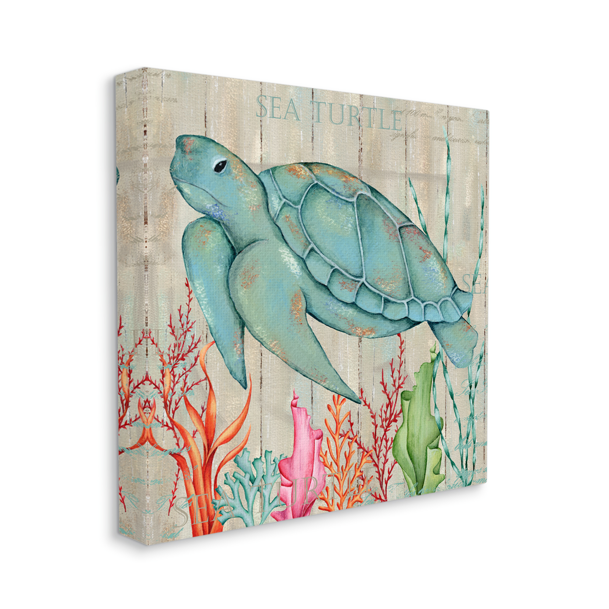 Stupell Industries Rustic Sea Turtle Animal Animals & Insects Painting Gallery Wrapped Canvas Print Wall Art, 30 x 30