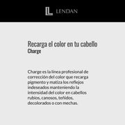 Lendan - Purple Shampoo - Violet Charge Shampoo - 300 ml - With Violet Pigments - Color Correcting - Neutralizes Yellow Tones - Deep Hair Hydration - Vegan