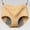 Khaki, variant on Soyumi Women's Seamless Underwear High Waisted Tummy Control No Show Panties Full Coverage Stretch Briefs, Black