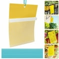 thumbnail image 4 of Elegant Choise 60 PCS Sticky Fly Traps Gnat Trap Flies Insect Glue Catcher w/ Hanging Ropes, 4 of 13