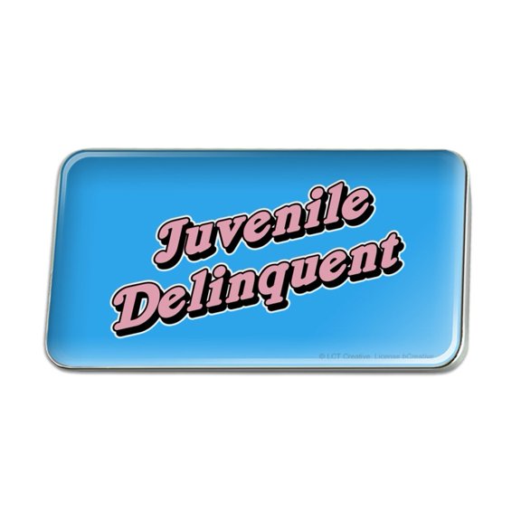 Juvenile Delinquent Funny Humor Metal Rectangle Lapel Hat Pin Tie Tack Pinback
