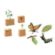 thumbnail image 5 of Conjuntos de ciclo de vida, figuras de juguete, ciencia, mariposas y plantas de frijol, regalo, colección realista de ciclo de vida para niños y niñas, 5 of 10