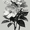 Botanical, variant on Jesus Walking With Horse Religious Canvas Serene Landscape Home Bedroom Spiritual Wall Decor Art