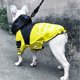 thumbnail image 3 of Abrigo impermeable para perros, ropa para mascotas con cara de perro, chaqueta para exteriores, impermeable para perros, ropa reflectante para perros pequeños, medianos y grandes, M, 3 of 5