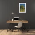 thumbnail image 3 of Wells, Joanne 11x14 White Modern Wood Framed Museum Art Print Titled - Tennessee Tree in morning light in field at Cades Cove, 3 of 4