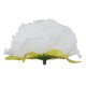thumbnail image 5 of 10 Uds. De flores artificiales con cabeza de flor falsa para decoración del hogar y la boda (blanco leche), 5 of 8