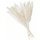 thumbnail image 1 of 15 piezas pequeñas de hierba de pampa seca natural, hierba de pampa para decoración del hogar, hierba de pampa seca de boda al aire libre Sailing  Electrónica, 1 of 1