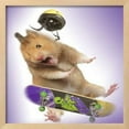 thumbnail image 2 of Hamster with Skateboard and Helmet, Framed Art Print Wall Art Sold by Art.Com, 2 of 6
