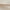Beige6, variant on Short Sleeve Pajamas Set for Women Loungewear Shorts Sets Sleepwear Nightwear 2 Piece Outfits